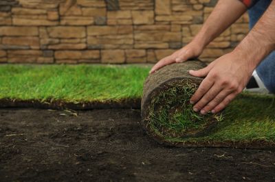 Landscape Repair Service