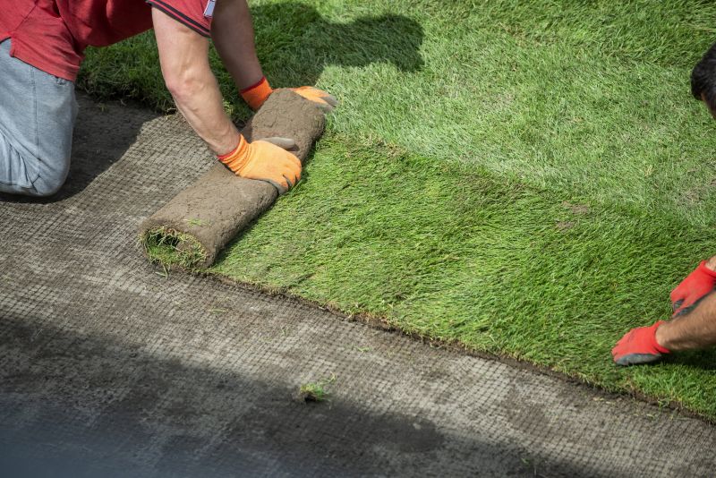 Contact About Sod Removal Service