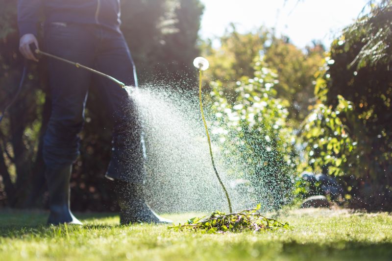 Sod Removal Service