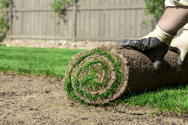 Sod Removal Service