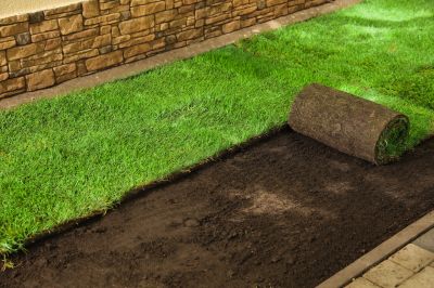 Sod Removal Service