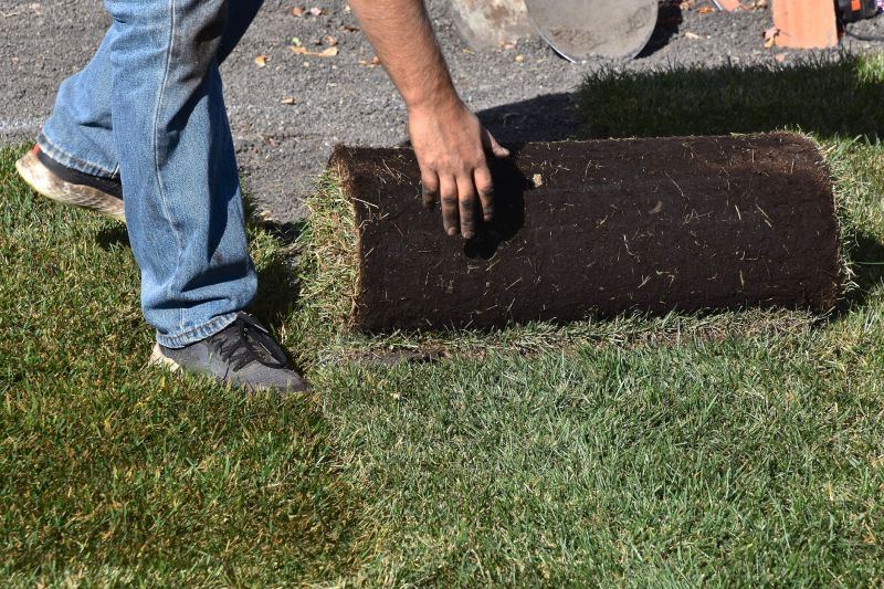 Spring Sod Removal Process