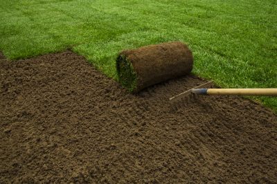 Sod Removal Service