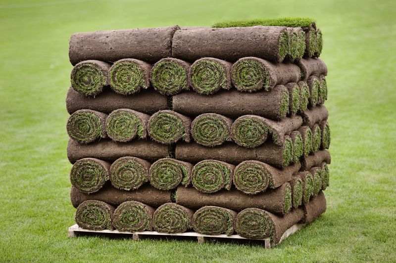 Sod Removal Service