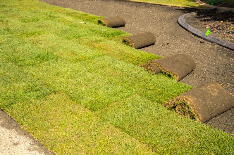 Sod Removal Service
