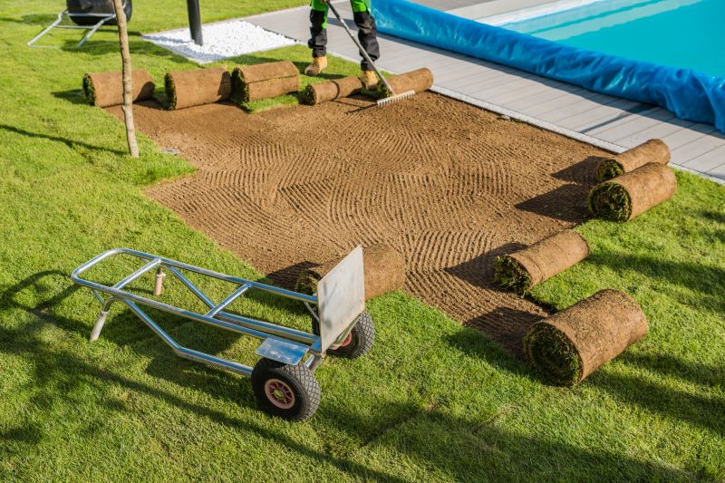 Sod Removal Service