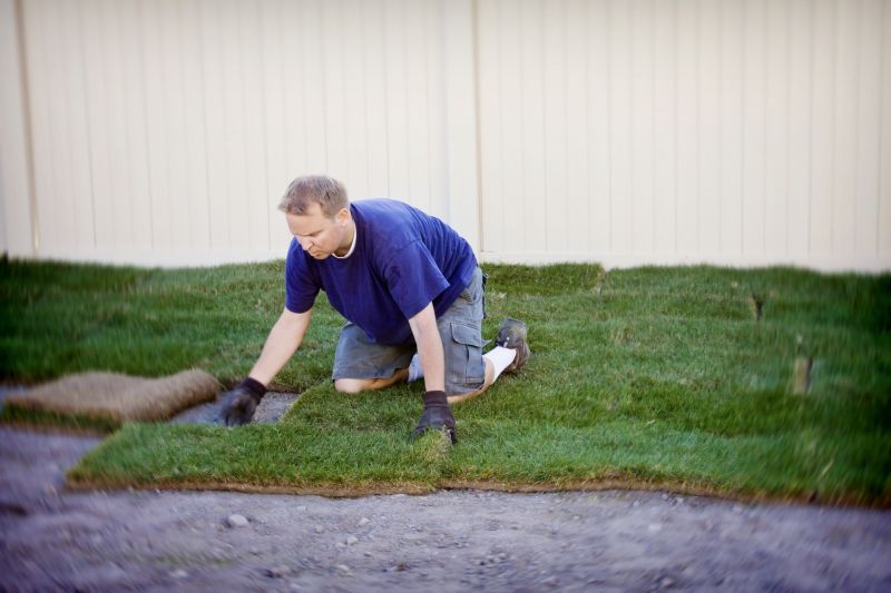 Sod Removal Service